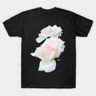 Rose in the dew on black / Swiss Artwork Photography T-Shirt